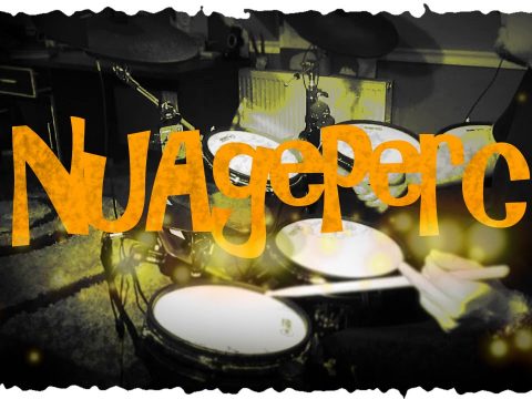 Alesis Dm10 X Kit Mesh