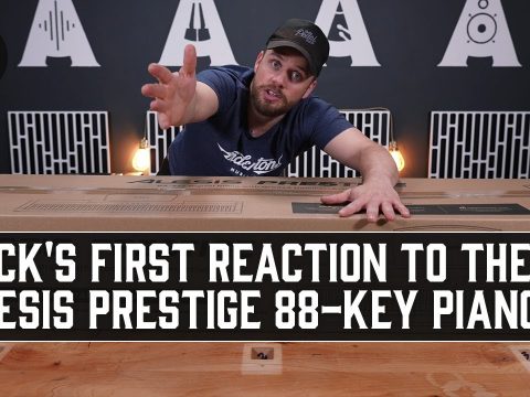 Alesis Recital Pro Magasin