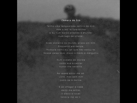 Camara De Eco Alesis