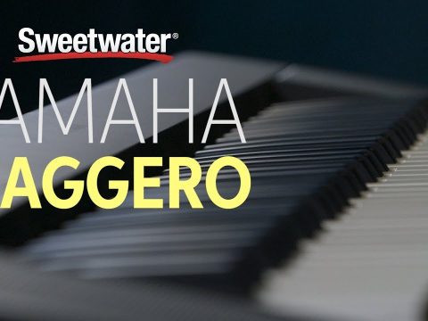 Piano Yamaha Piaggero Np 11