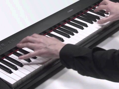 Piano Yamaha Portable Grand Np 30