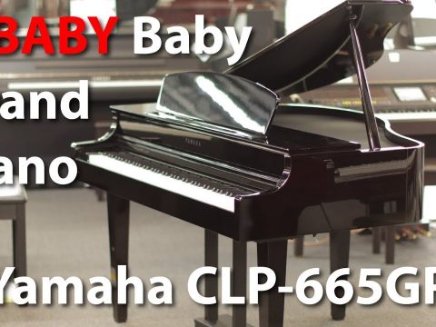 Yamaha Clp 360 Digital Piano
